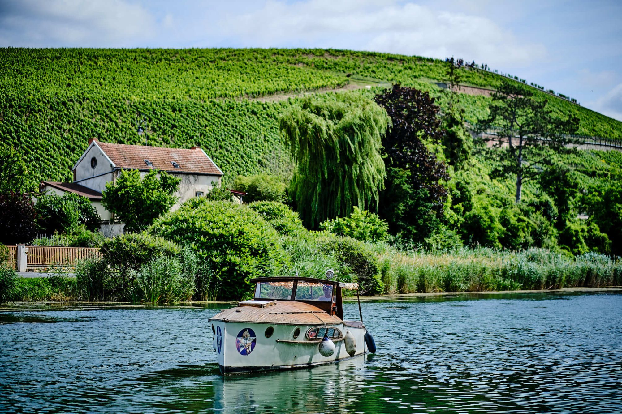 The Art of Blending - Champagne Philipponnat