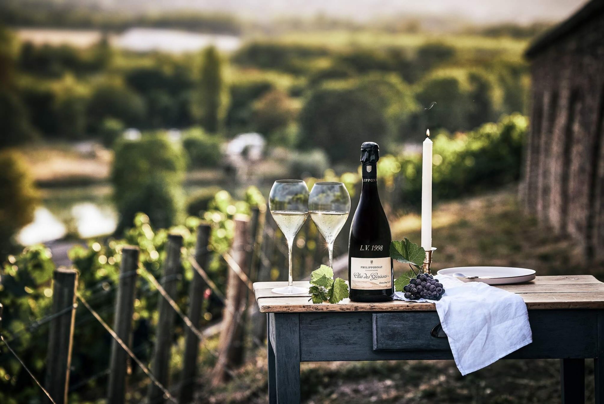 Perpetual Vintages - Champagne Philipponnat