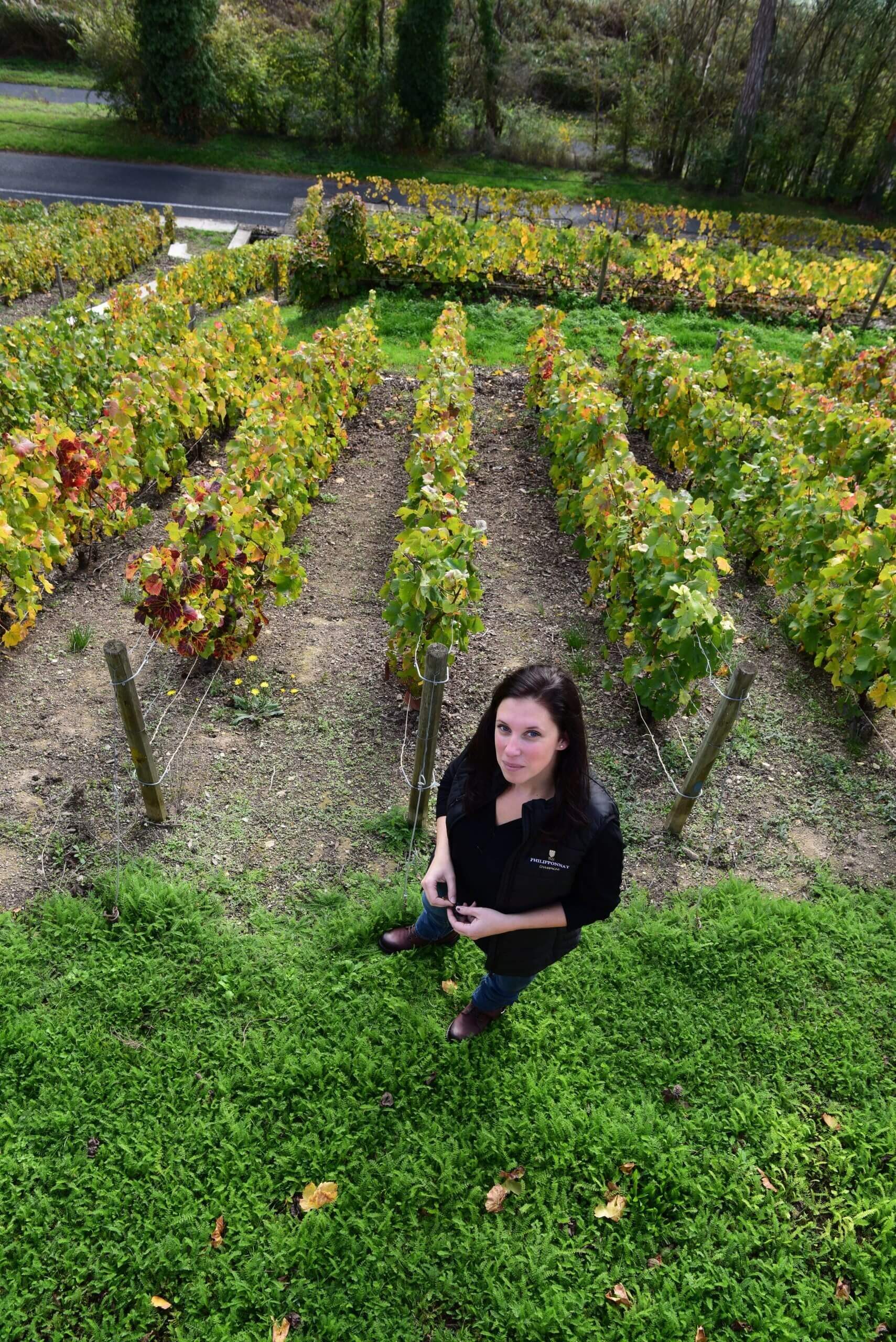 Un vignoble préservé - Champagne Philipponnat