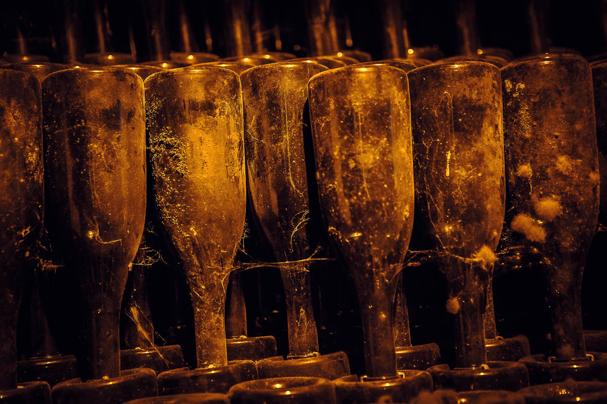 The Art of Blending - Champagne Philipponnat