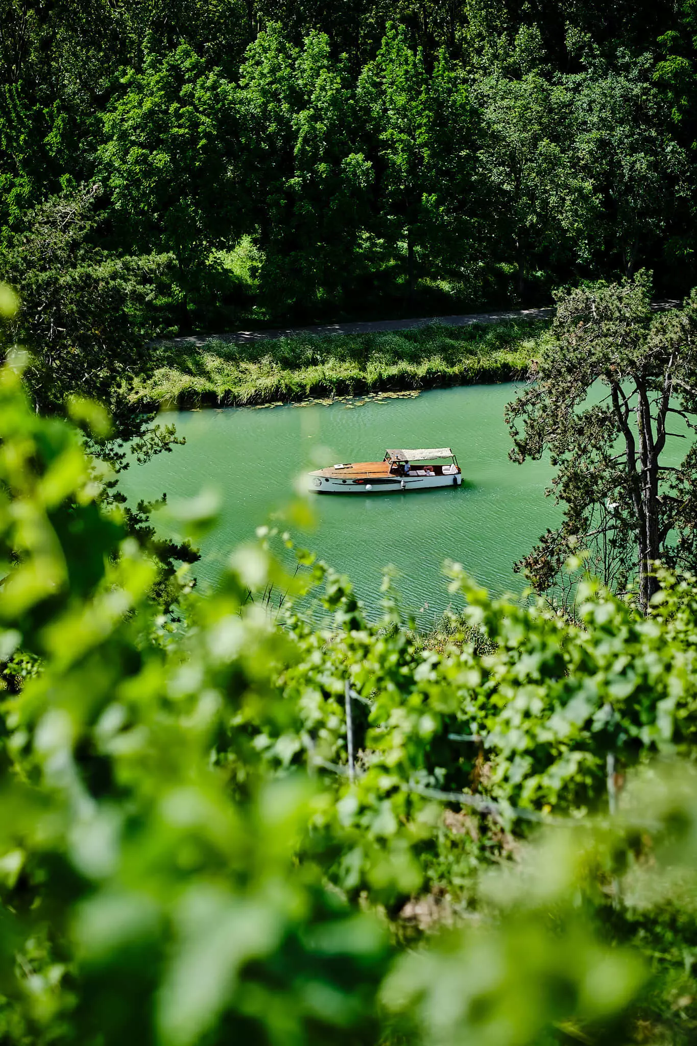 Au fil de la Marne - Champagne Philipponnat