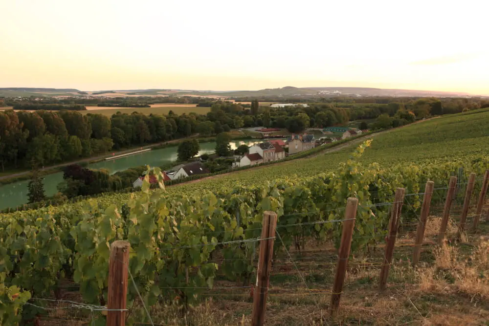 Le Clos des Goisses - Champagne Philipponnat